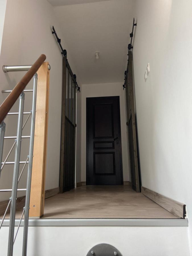 Appartement A 12 Mn De Cauterets ピエルフィット・ネスタラ エクステリア 写真